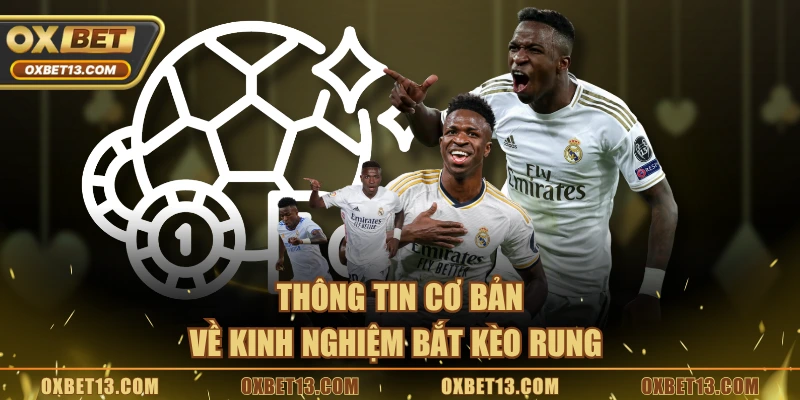 Thông tin cơ bản về kinh nghiệm bắt kèo rung